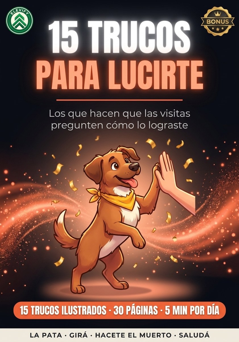 15 Trucos para Lucirte con tu Perro