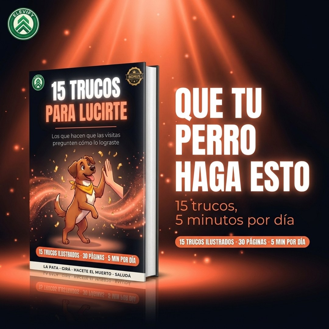 15 Trucos para Lucirte con tu Perro