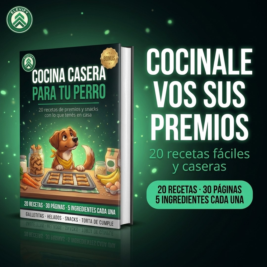 Cocina Casera para tu Perro