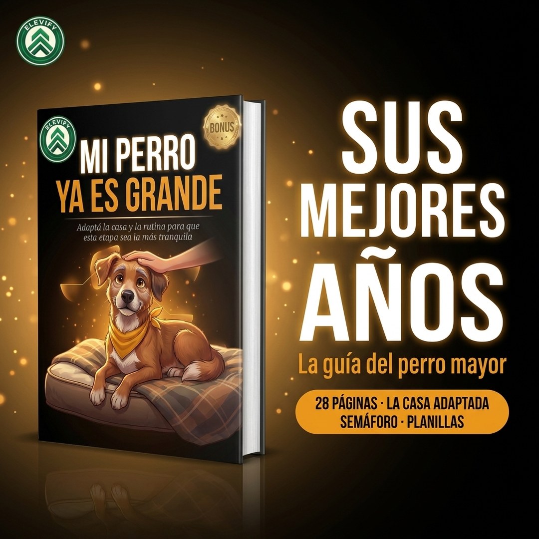 Mi Perro Ya Es Grande